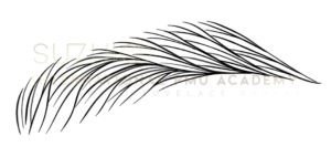 Micropigmentation Hair Stroke Brows by Makoto